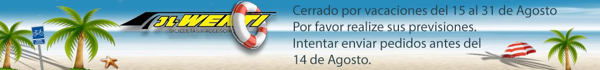 Odoo CMS - a big picture